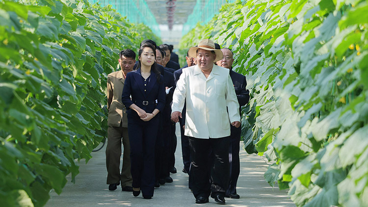 김정은, 주애와 신의주 온실농장 점검…"사계절 채소 재배, 절실" 김정은, 주애와 신의주 온실농장 점검…"사계절 채소 재배, 절실"