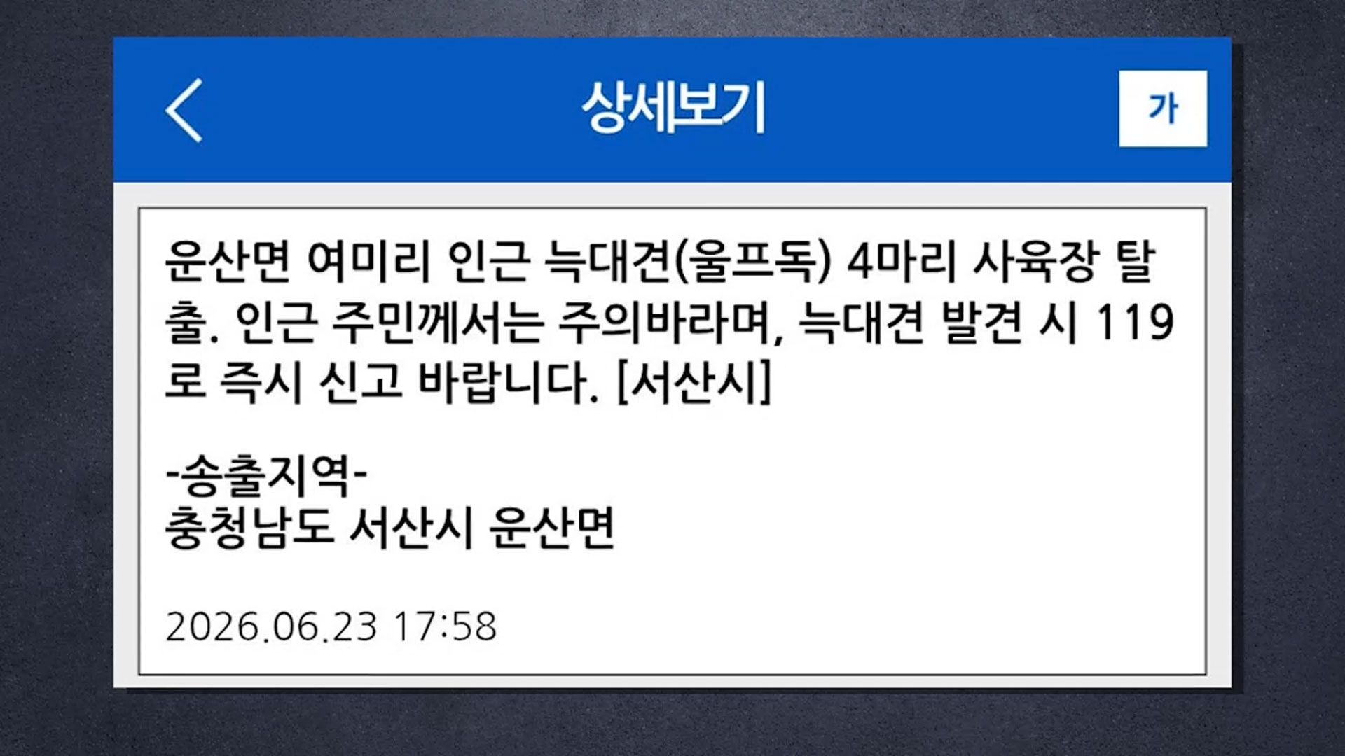 서산서 늑대견 탈출…4마리는 여전히 미포획