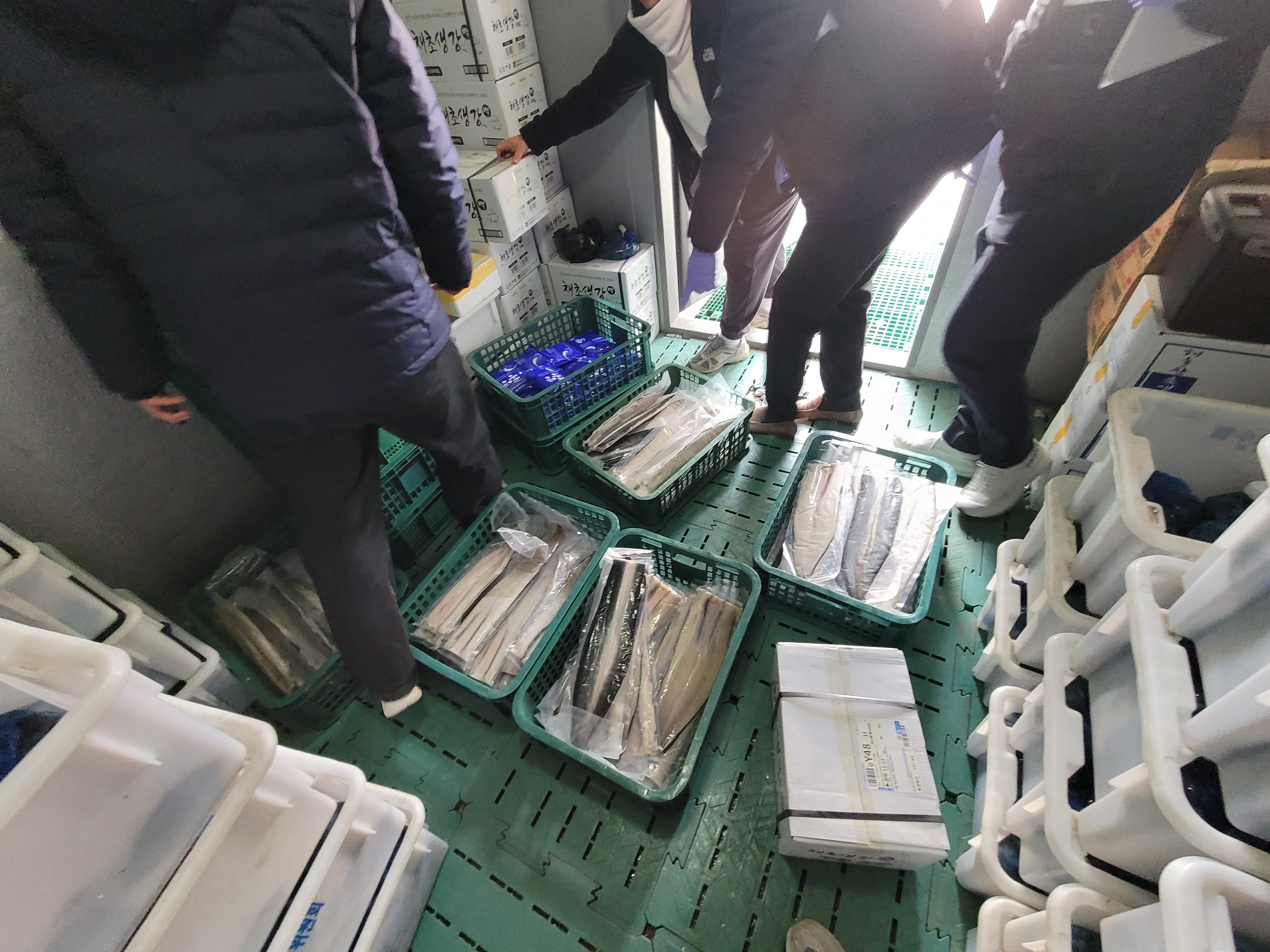 “中 냉동장어, 국내산 둔갑”…26억원 챙긴 업자 검찰 송치