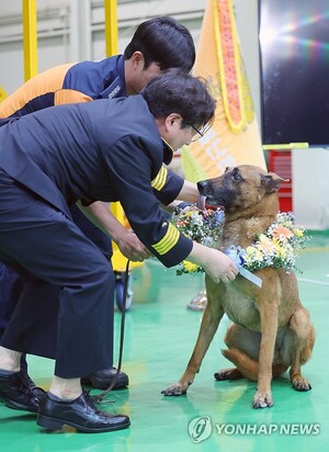 119구조견 충성, 명예로운 은퇴…새가족과 편안한 노후 보낸다