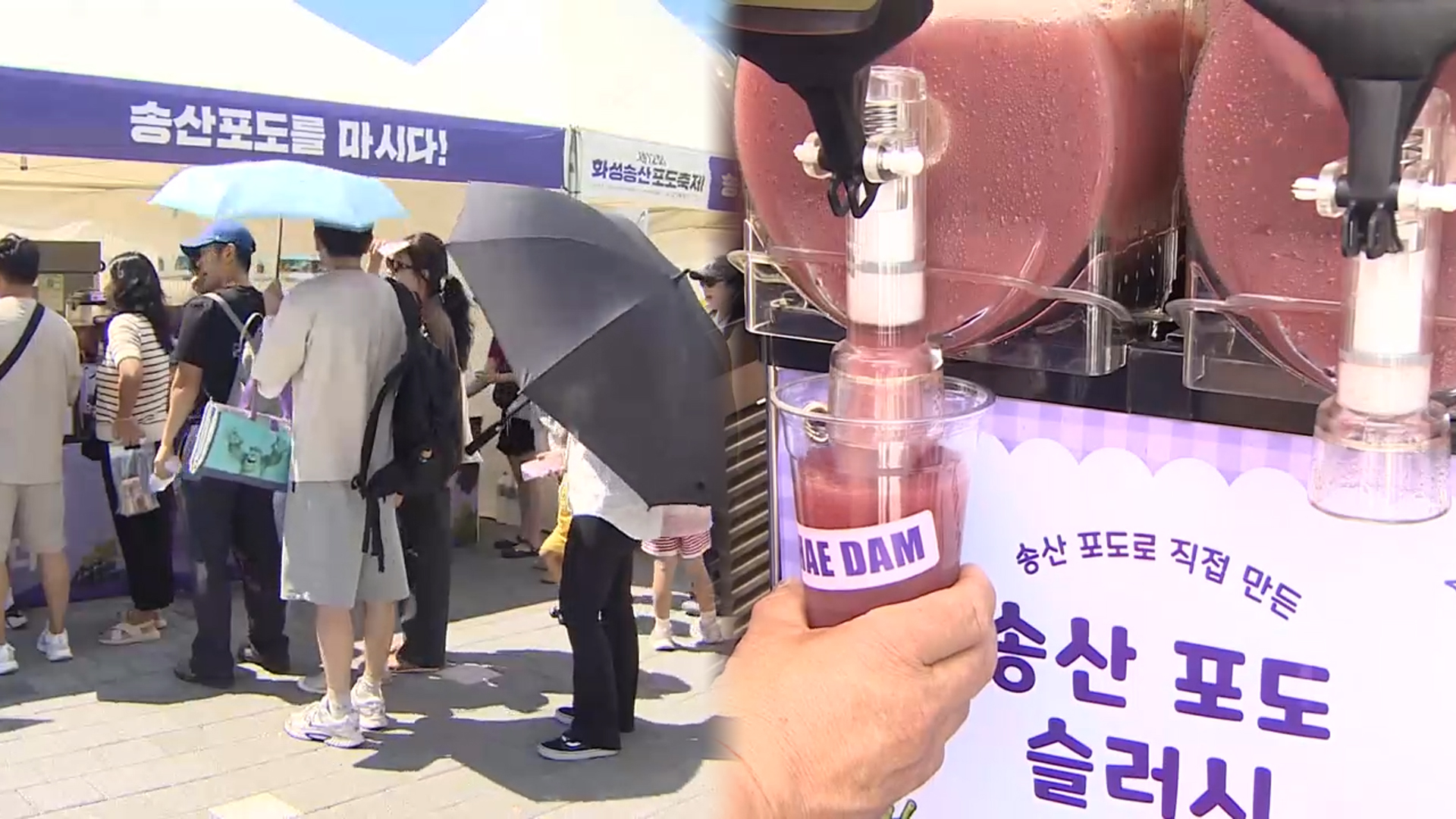 5. 에코팜테마파크의 역할과 향후 행사 일정