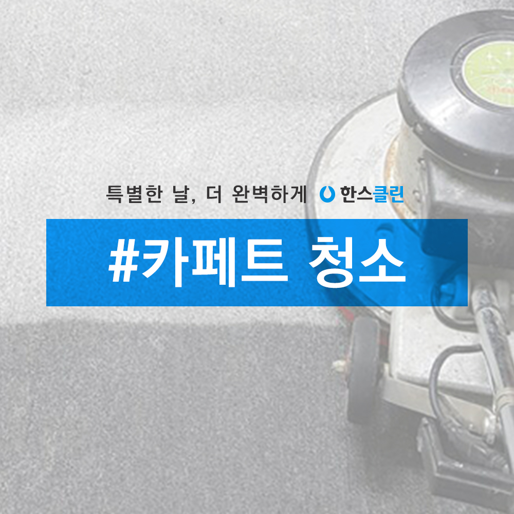 단모 카페트는 물걸레를 들어올리면 되나요 단모 카페트는 물걸레를 들어올리면 되나요