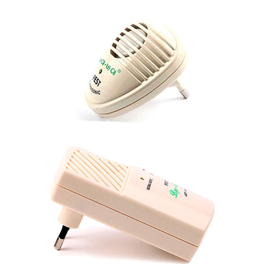 야외 텃밭과 산책로 활용 팁 야외 텃밭과 산책로 활용 팁