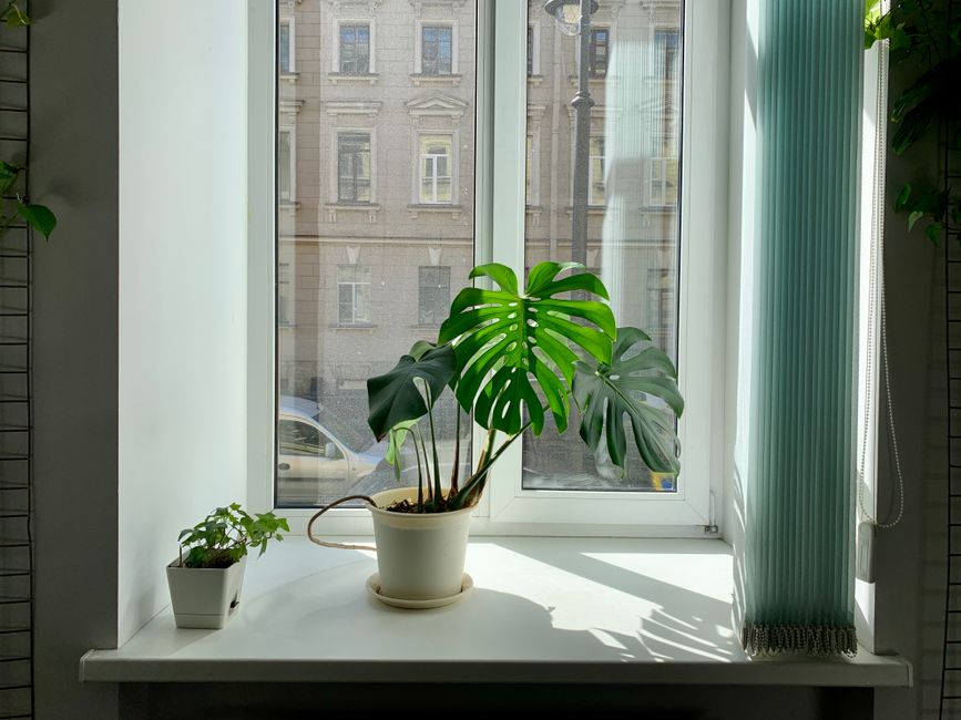 모래오리보다 깔끔하게 팬까지 세척 가능한 원리 모래오리보다 깔끔하게 팬까지 세척 가능한 원리
