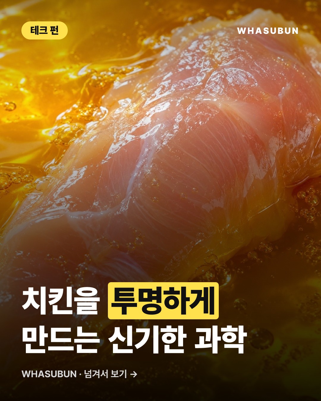 치킨을 투명하게? 도리토스 가루의 과학 카드뉴스 1
