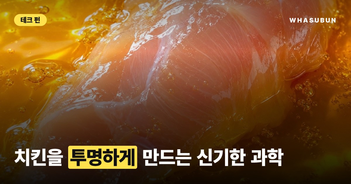 치킨을 투명하게? 도리토스 가루의 과학