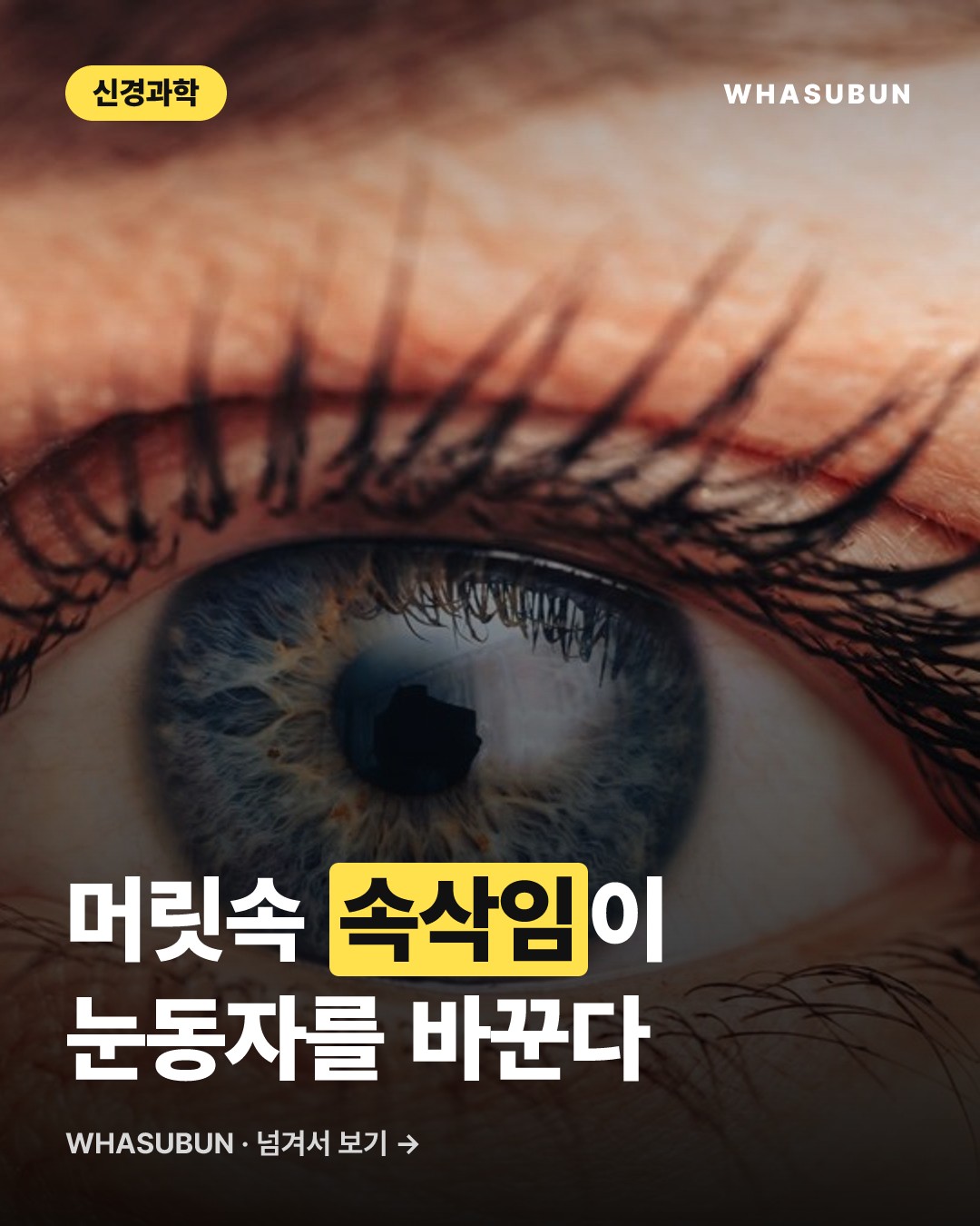 속삭임 vs 소리냄: 동공 크기 변화 과학 카드뉴스 1
