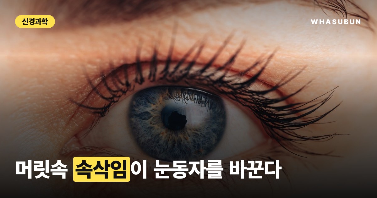 속삭임 vs 소리냄: 동공 크기 변화 과학