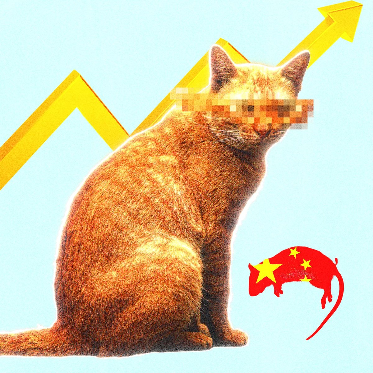 코딩 화면을 바라보는 개발자의 모습