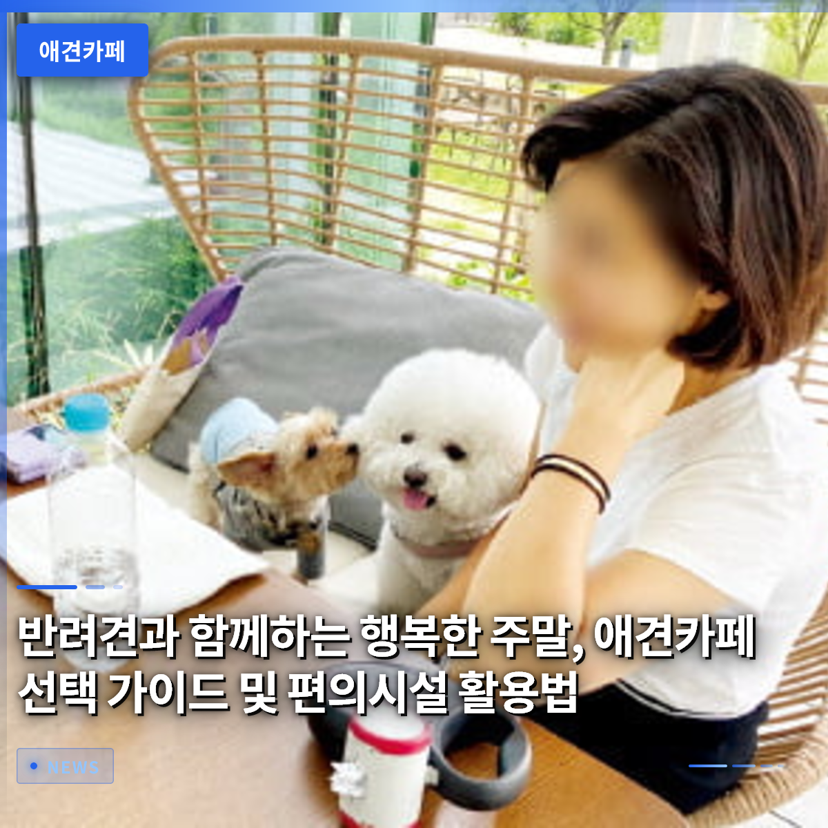 愛犬と過ごす幸せな週末、ドッグカフェ選びのガイドと便利施設の活用術