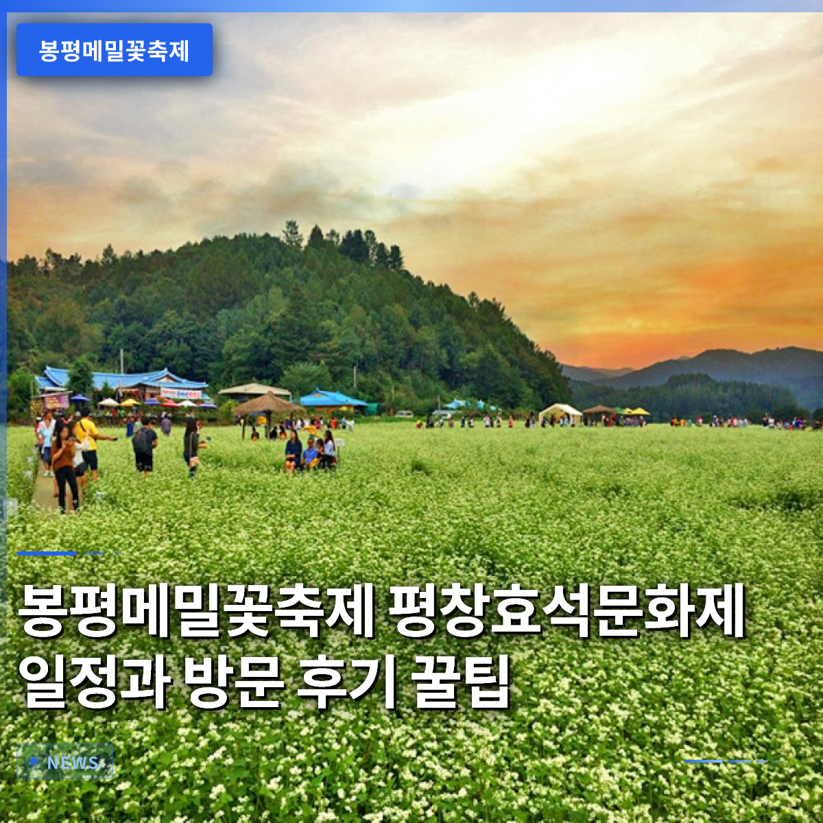 봉평메밀꽃축제 평창효석문화제 일정과 방문 후기 꿀팁