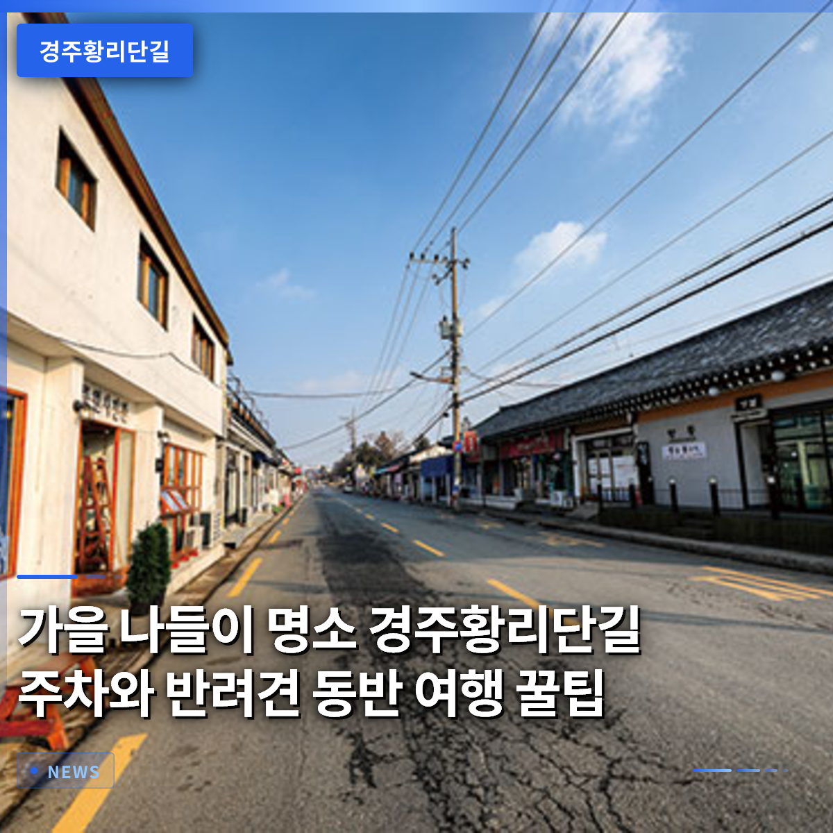 가을 나들이 명소 경주황리단길 주차와 반려견 동반 여행 꿀팁 가을 나들이 명소 경주황리단길 주차와 반려견 동반 여행 꿀팁