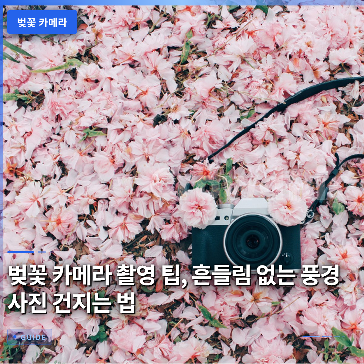 벚꽃 카메라 촬영 팁, 흔들림 없는 풍경 사진 건지는 법