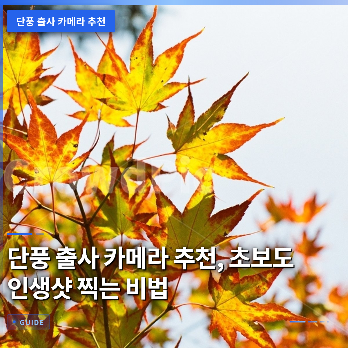 단풍 출사 카메라 추천, 초보도 인생샷 찍는 비법