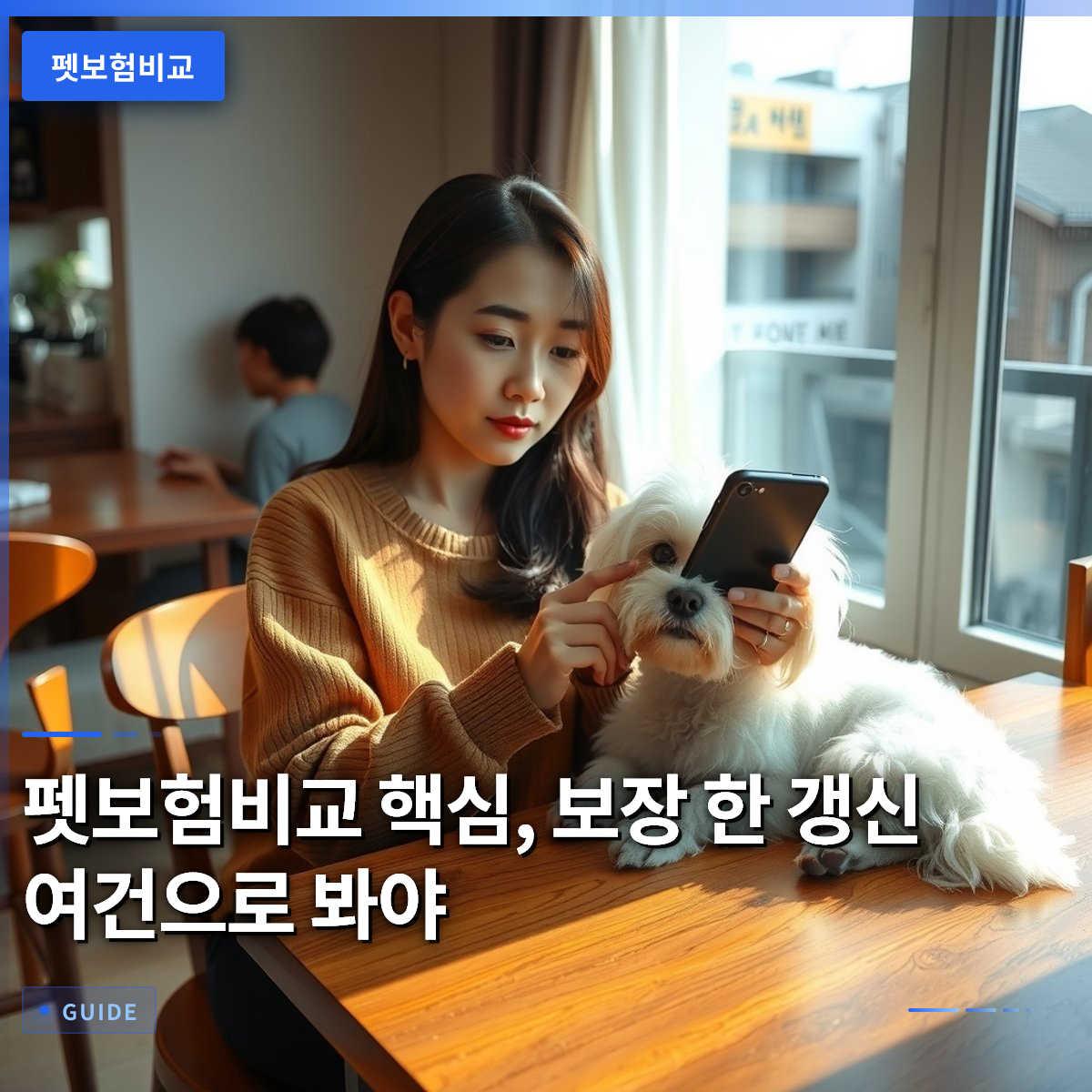 펫보험비교 핵심, 보장 한 갱신 여건으로 봐야