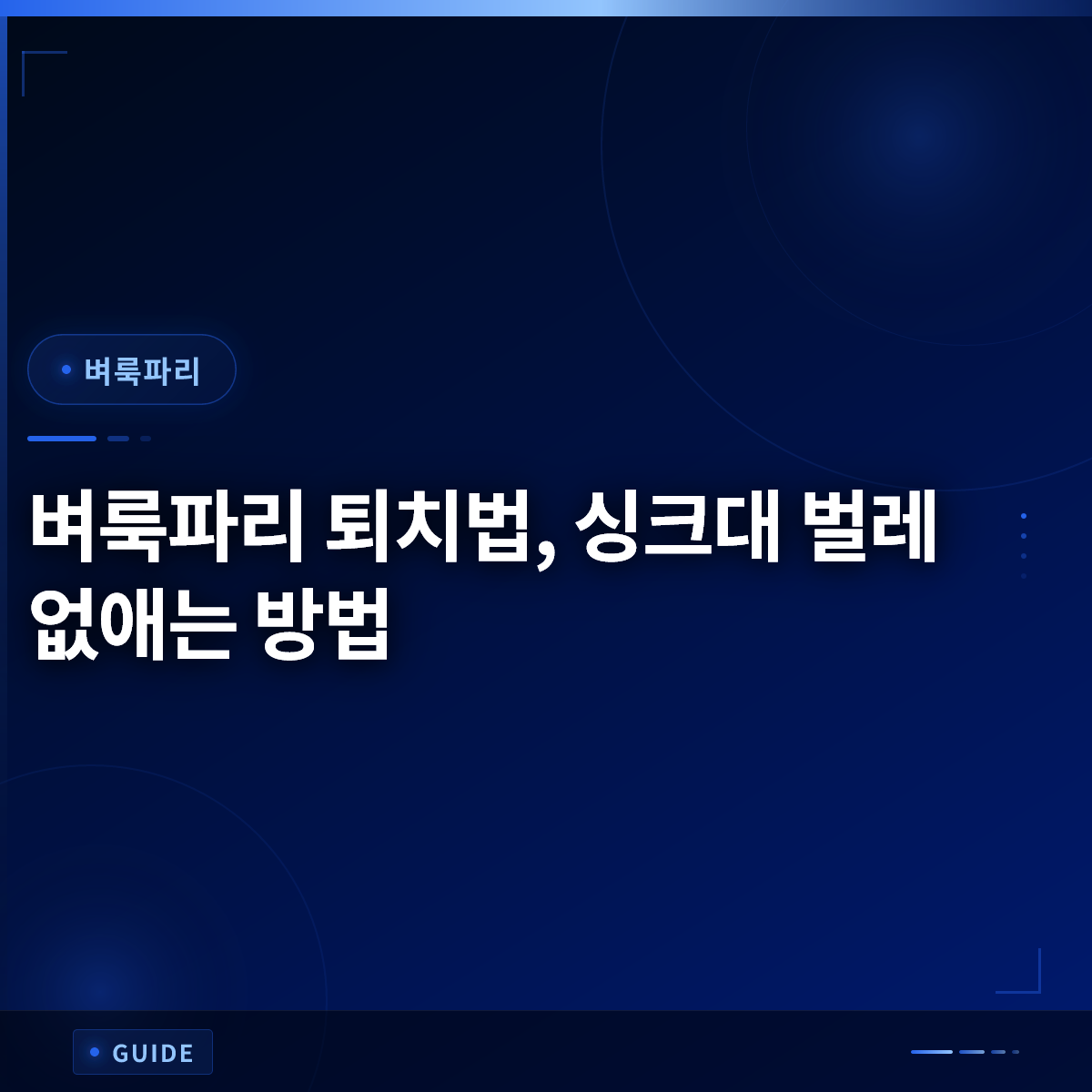 벼룩파리 퇴치법, 싱크대 벌레 없애는 방법 벼룩파리 퇴치법, 싱크대 벌레 없애는 방법