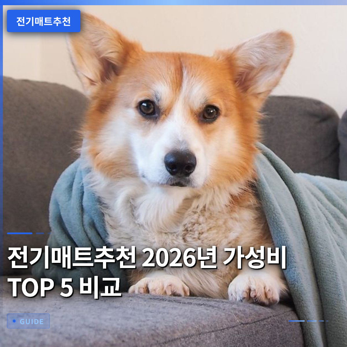 전기매트추천 2026년 가성비 TOP 5 비교
