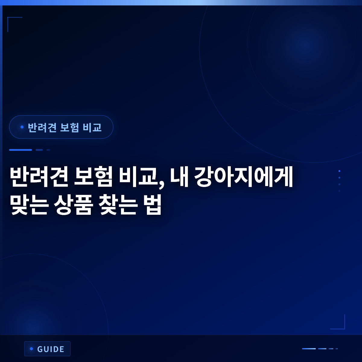 반려견 보험 비교, 내 강아지에게 맞는 상품 찾는 법